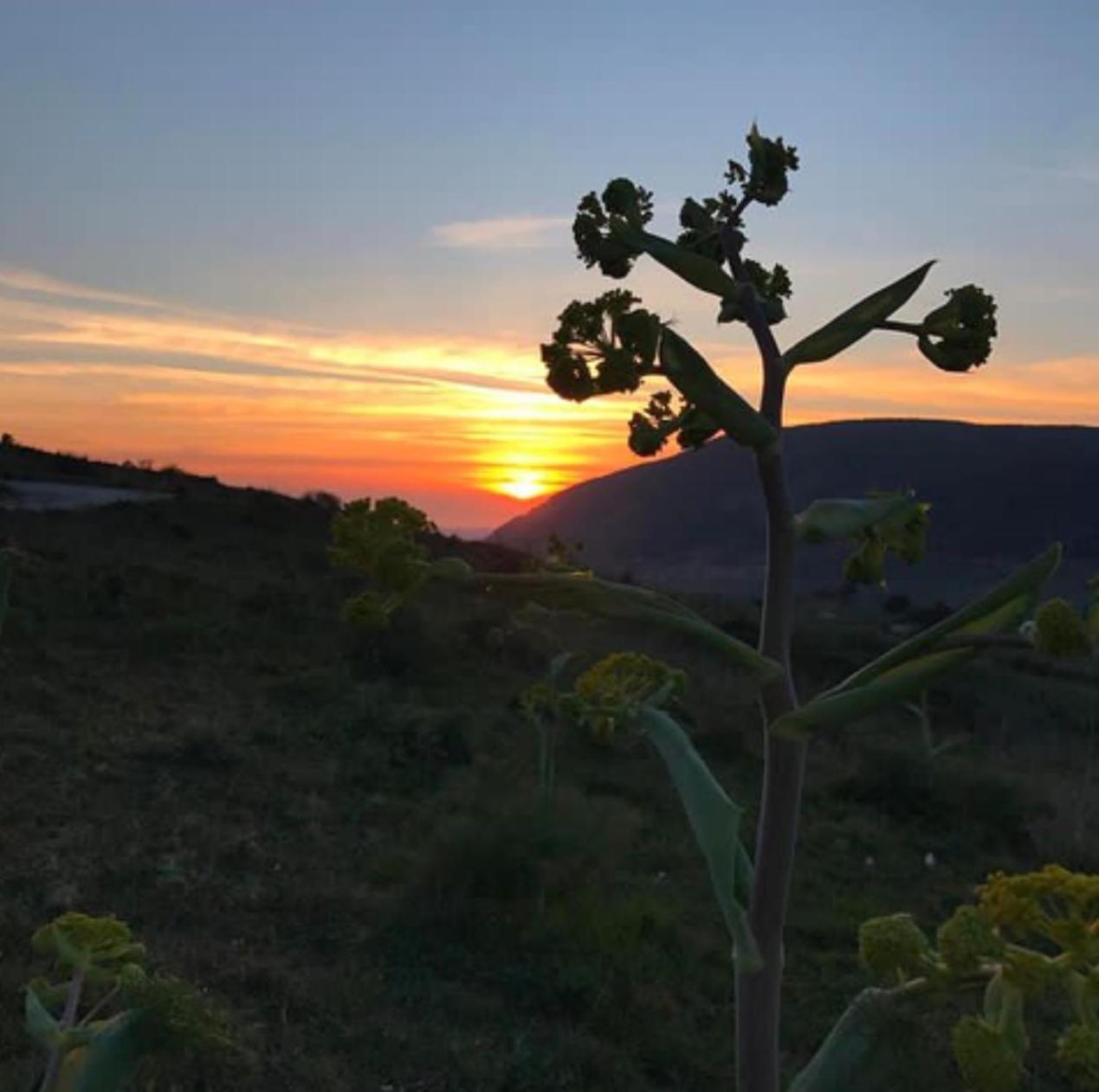 Frühstückspension In Sicilia Da Ciro