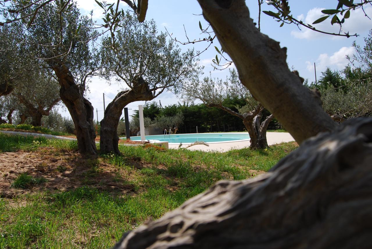 Bed & Breakfast In Sicilia Da Ciro